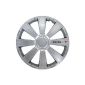 Petex RB534114 wheel cover RS-T size 14-inch 2-painted Material: ABS box, silver - Set of 4 (Automotive)