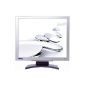 Benq FP91GP 48.3 cm (19 inch) TFT Monitor silver / black (Contrast Ratio 1000: 1, 8ms response time) (Personal Computers)