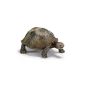 Typical Schleich animal: robust and faithfully imitated.