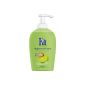 Fa Fluessigseife Hygiene & fresh lime & ginger, 2-pack (2 x 250 ml) (Health and Beauty)