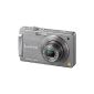 Panasonic DMC-FX550EG Digital Camera (12MP, 5x opt. Zoom, 7.6 cm (3 inch) display, image stabilizer) (Electronics)