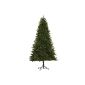 Black Box 379116-01 Trees Artificial Christmas Charlot height 185 cm diameter 109 cm, 850 branches, PE needle (household goods)