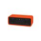ARCTIC S113 BT Orange - Portable Bluetooth Speaker with NFC pairing - 2x3 W - Bluetooth 4.0 - 8 hours playback time - 1200 mAh Lithium Polymer battery (Electronics)