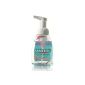 Sanytol Cleansing Foam Hand Disinfectant 250 ml (Personal Care)