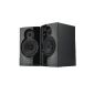 Reloop ADM-5 stereo front speakers (Electronics)