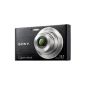 Sony Cybershot DSC-W320 14.1 MP Digital Camera Black (Electronics)