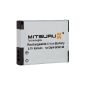 Mitsuru® Battery Replacement for Panasonic DMW-BCM13 DMW-BCM13E DMW-BCM13PP.  suitable for Panasonic Lumix DMC-FT5 DMC-TZ40 DMC-TS5 DMC-TZ41 DMC-ZS30