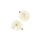 Accessorize Ladies 2 rhinestone encrusted Salon hairpins with flowers (Textiles)