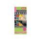 Venice - laminated map of Venice and its downtown (Paperback)