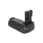 Professional Battery Grip for Canon EOS 70D as the BG-E14 - for 2x LP-E6 and 6 AA batteries (Electronics)