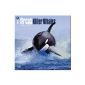 Orcas Killer Whales 2015 Calendar (Calendar)
