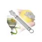 Kitchen Craft Professional Zester with short handle Oval Stainless Steel (Kitchen)