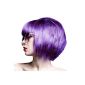 Crazy Color Hair Coloring For Semi-Permanent 100ml (Violet Intense) (Health and Beauty)