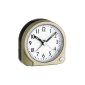 TFA 60.1009.53 Electronic alarm clock (household goods)