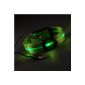 2-TECH rechargeable bright LED dog collar in green Size M (neck circumference 32 to 48cm) with 3rd generation USB charging interface (Misc.)