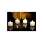 PK Green Set of 12 Battery Operated Warm White LED Candles, tea