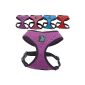 Harness without pull-small dogs - pet harness - breathable mesh knit - Colour range and sizes Medium Violet (Miscellaneous)