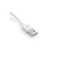 Incutex USB to Micro-USB cable for example, Samsung Galaxy S2, S3, S4 I9500, HTC, Blackberry, Nokia Lumia, Sony Xperia, USB / micro USB cable for devices with microUSB connection (mobile phones such as Samsung Galaxy S3 ), 1m, white brand Incutex (Electronics)