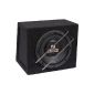 Audio System R 08 G woofer (electronic)