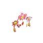 Tiny Love Arch stroll Articulated Butterfly (Baby Care)