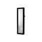 Jewelry cabinet mirror cabinet mirror wall (choice of colors) black or white