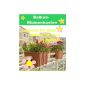 3 x Planter planter flower pot flower balcony inovation 375x285x200mm (garden products)