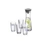 WMF 0617709992 Water Carafe Set 5-piece Basic (household goods)