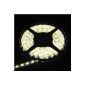 5M LED tape 5 meters 300 LED SMD 3528 cool white waterproof + controller of intensity LD124