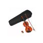 TS-Ideen 4406 1/8 Maple Violin with Case + Bow + Rosin for Children in horsehair 4 to 6 years Brown (Electronics)