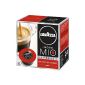 Lavazza A Modo Mio espresso Appasionatamente, 2 x 16 capsules, 2-pack (2 x 120 g) (Food & Beverage)