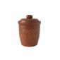 Axentia 820,423 multipurpose pot ceramic brown with lid 10 liters (household goods)