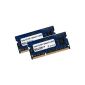 Elpida 4GB Dual Channel Kit 2 x 2 GB DDR3 204 pin SO-DIMM (1066 MHz / 1067 MHz PC3-8500S, CL7, for Apple and notebook) - Apple ID 0x02FE (Personal Computers)