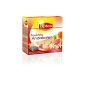 Lipton Fruit Andalusia, 20 bags, 3-pack (3 x 20 bags) (Food & Beverage)