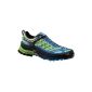 SALEWA MS FIRETAIL EVO GTX Men's Outdoor Fitness Shoes (Shoes)