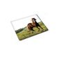 10018 Horses, Galloping Horse, Mouse Pads Designer Mouse Pad Mouse Mat Anti-slip feet for a Strong Optimal Maintenance Compatible with Colorful Design for All Types Mouse (Ball, Optical, Laser) (Electronics)