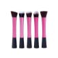Makeup Brush Professional Kit 5PCS Eyeshadow Blush Pink Foundation Powder Brush Makeup Kit Anti concealer brushes (Miscellaneous)