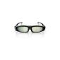 Philips PTA518 / 00 3D Max active glasses (switchover 2 Player Full Screen Gaming) (Electronics)