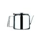 Premier Housewares right Inox Teapot 90 cl (Kitchen)