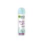 Garnier Mineral Ultra Dry 150ml (Health and Beauty)