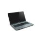 Acer ASPIRE E1-731-20204G1TMni Laptop 17 