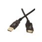 Lot 2 AmazonBasics USB 2.0 Extension Cable Male A to Female A 1 m (Personal Computers)