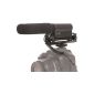 Dried DM220 mono directional microphone for recording scene with photo and video cameras (cardioid characteristic, vibration-free mounting) (Accessories)