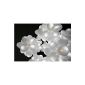 15 LED balloons over white for wedding, party - decoration, birthday, for different occasions (Toys)