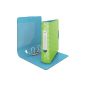 Leitz 11330050 quality folder Retro Chic, PP, A4, wide, neon green (Office supplies & stationery)