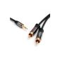 Cable Direct 5m 3.5mm to 2 RCA Y Cable - PRO Series (Accessories)