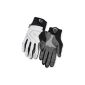 Giro cycling gloves winter Ambient 2 (equipment)