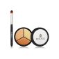 Artista Exact Match Concealer Borghese (Health and Beauty)