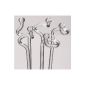 5 Orchideenstäbe with ball of glass orchids orchids rod holder 40 cm (garden products)