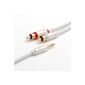 BlueRigger 3.5mm stereo audio cable (3.6 meters) Good product