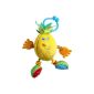 Tiny love Fruity pals Pineapple (Baby Care)